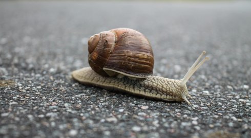 Wolne działanie sklepu internetowego podczas dużego ruchu: Przyczyny i rozwiązania - optymalizacja wydajności i szybkości serwisu e-commerce