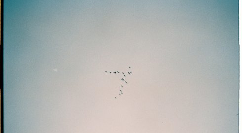 Kiedy migrować sklep internetowy? Częste przyczyny podjęcia decyzji o zmianie silnika e-commerce