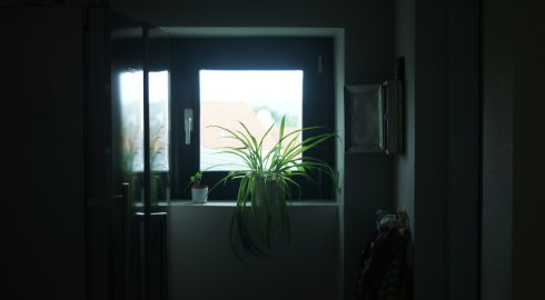 ​